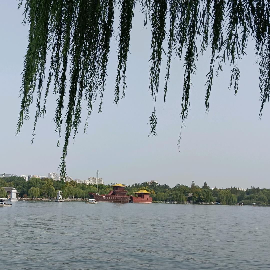 静&心