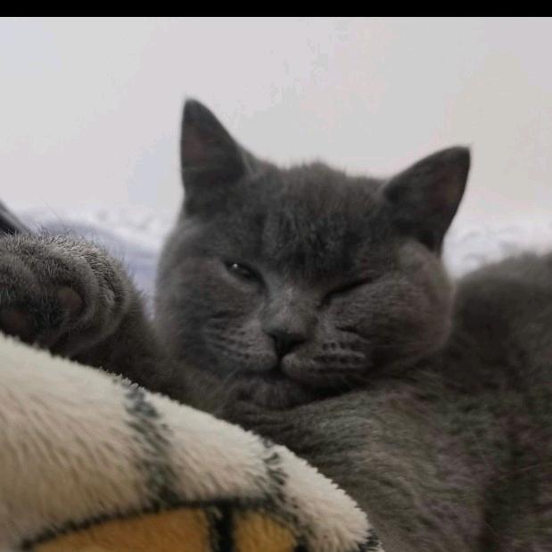 动画片🉑真好看