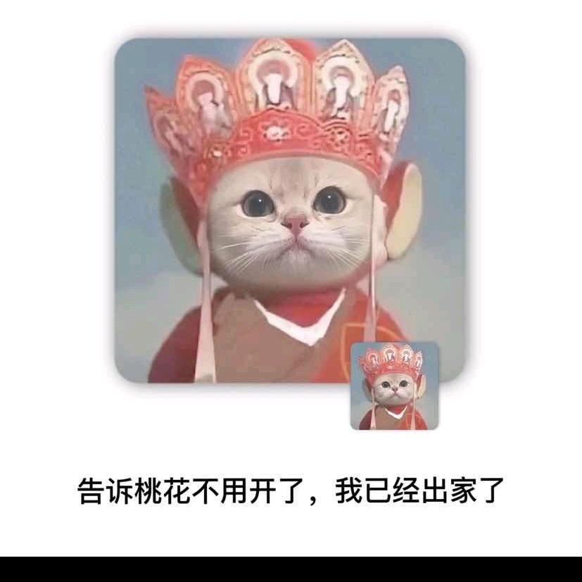 造梦为她