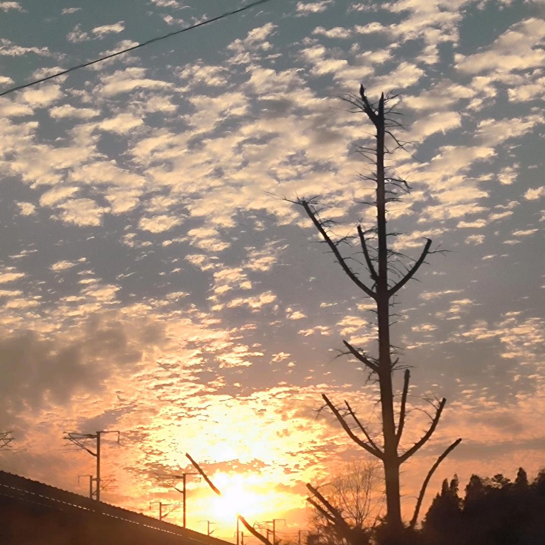 刀疤@