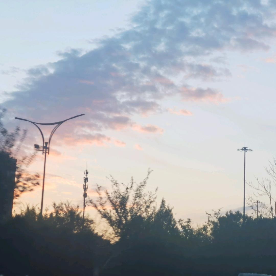 年少不知爱，知爱不少年🌹