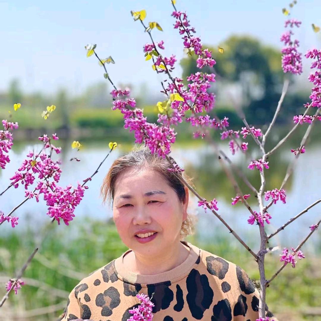 蔡包子