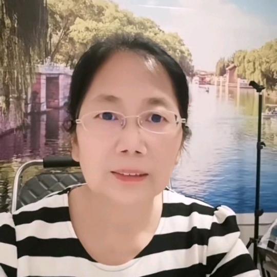 远飞的海燕