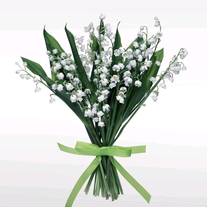 善听健康工作室（橱窗自用好物）