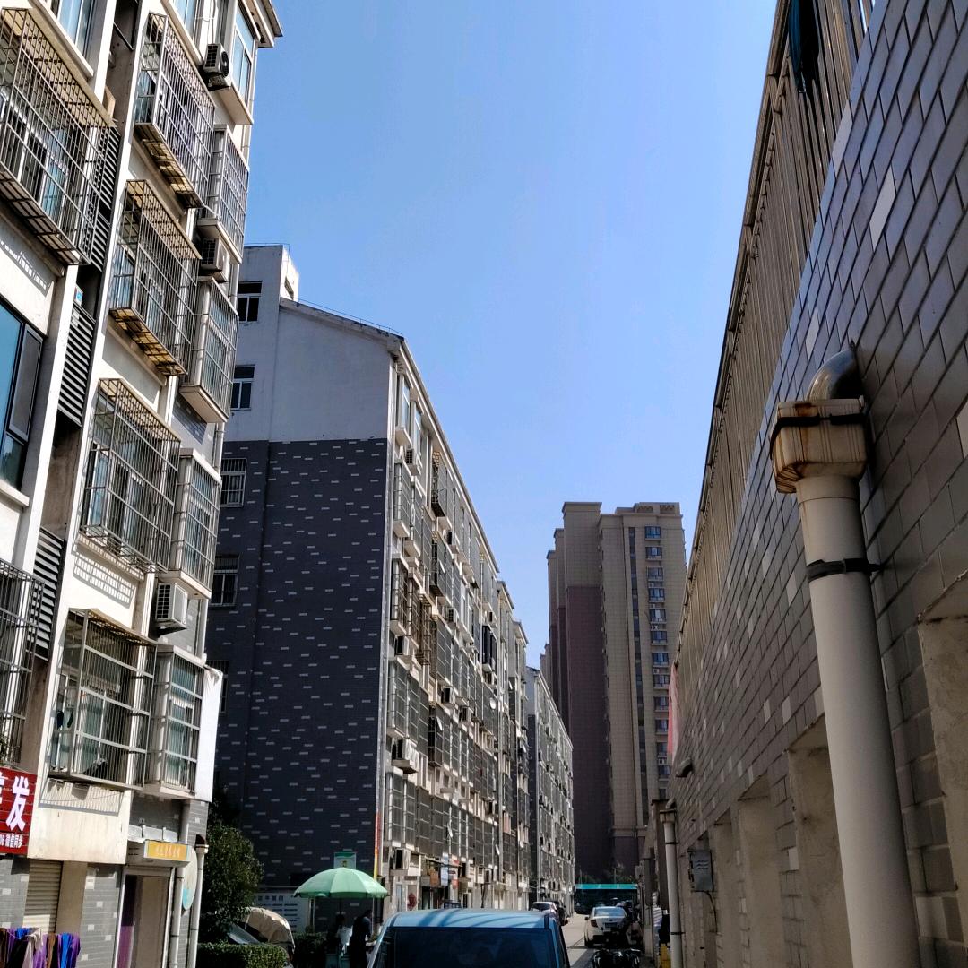 感悟人生