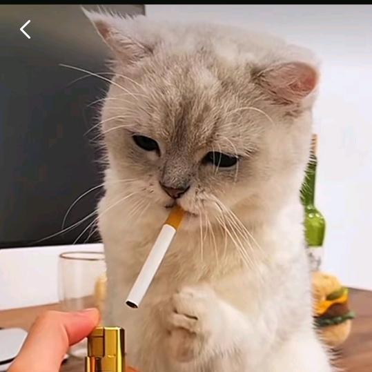 借东风