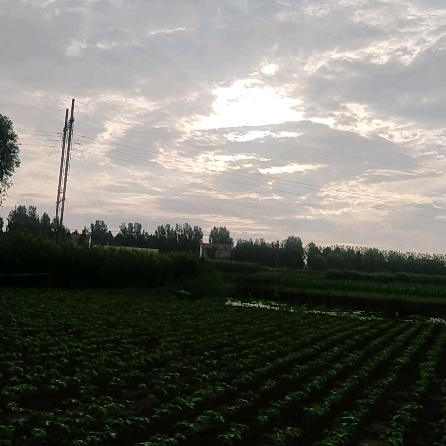 砥砺前行