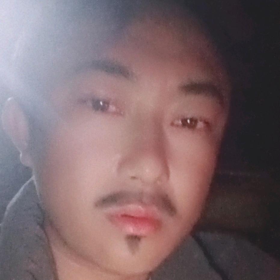 一棵树的内涵