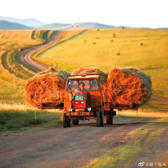 好运来来来