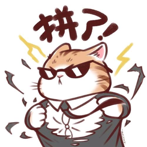 奋奋赢