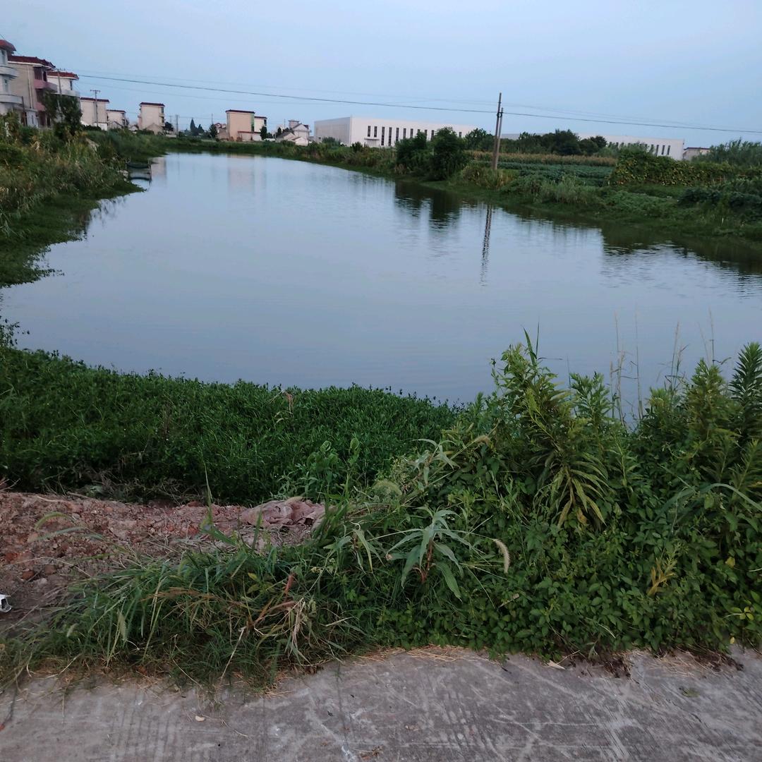 🤩🤩美丽琴🧐🧐🤭