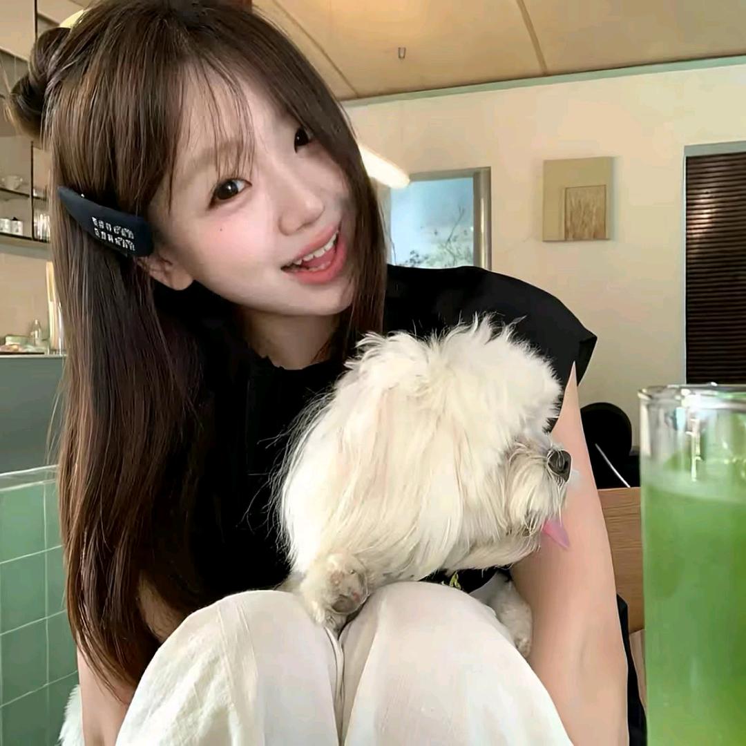 ʸ16🐾