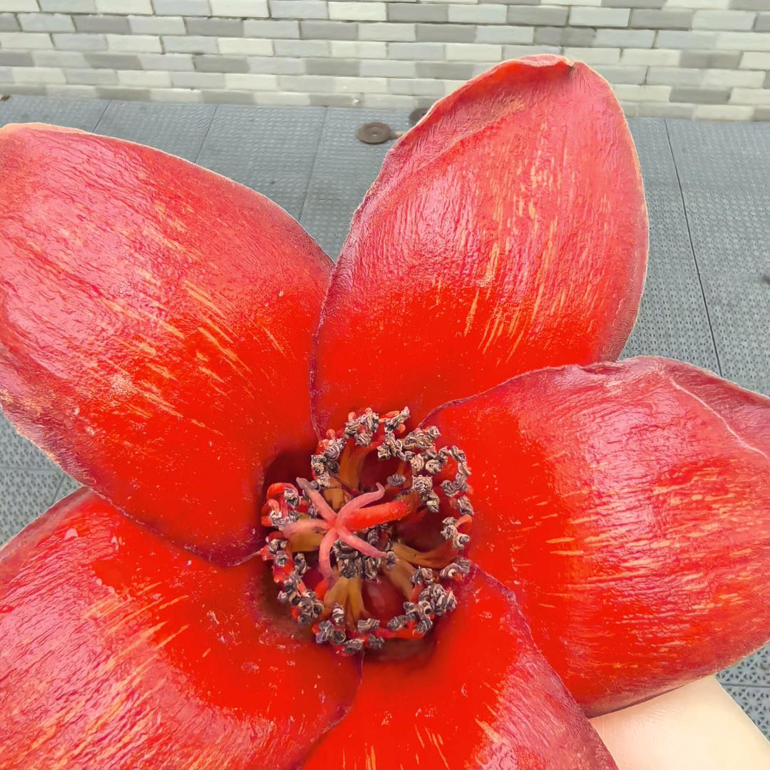 90后负债女孩努力上岸中