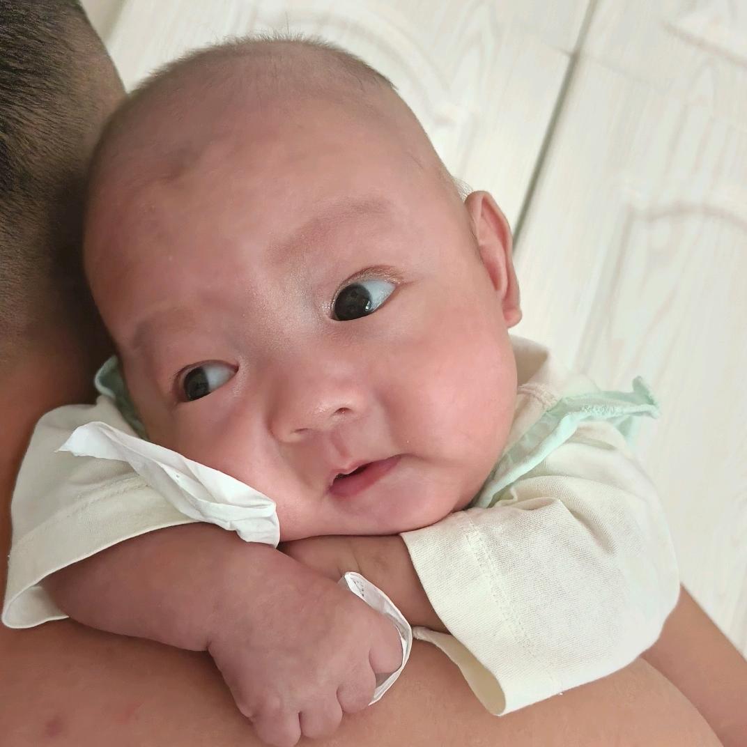 小石头（升级中）