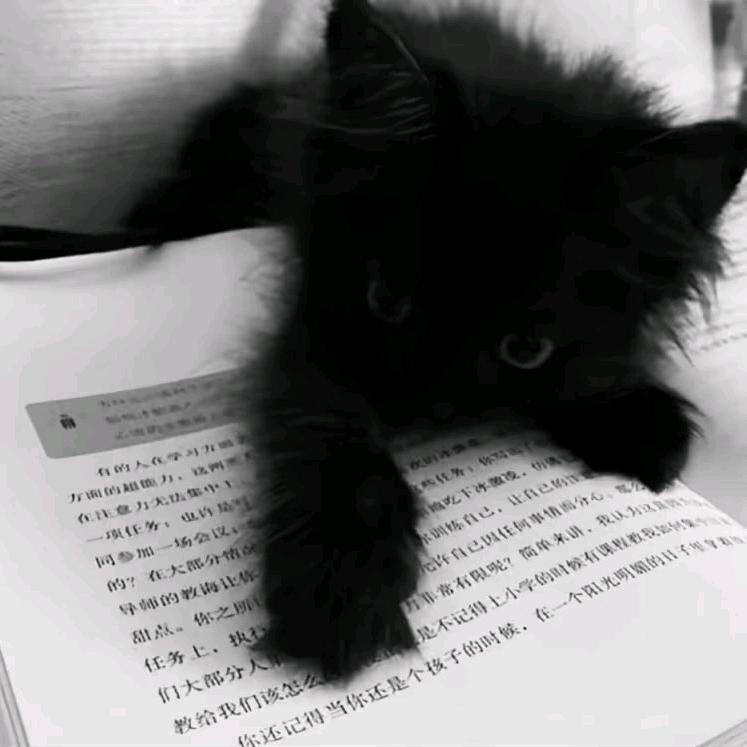 思辰😈