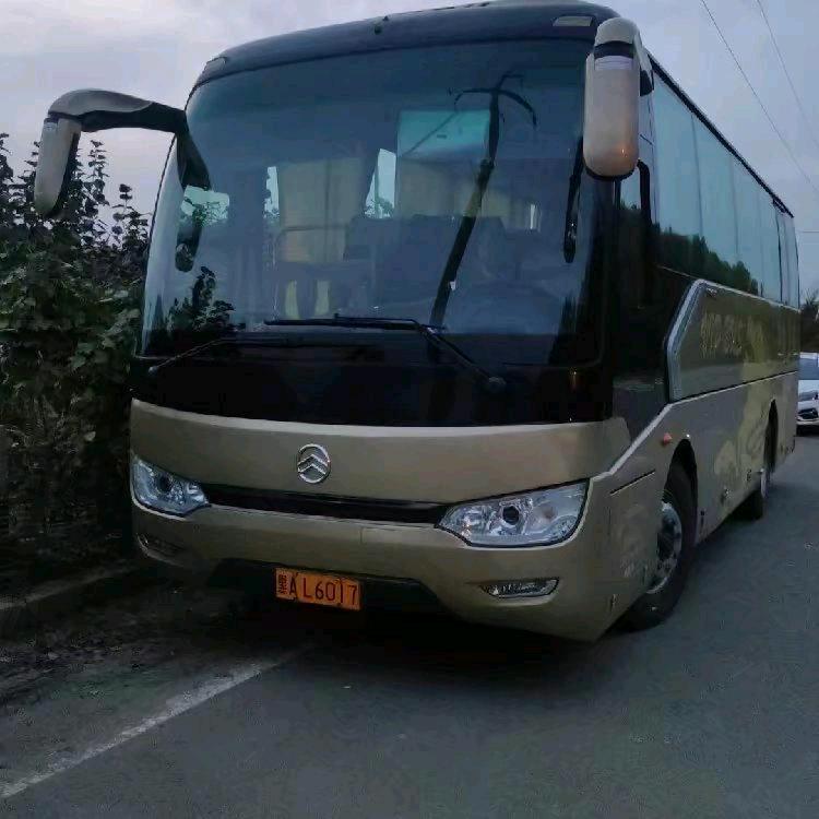 神彩飞杨