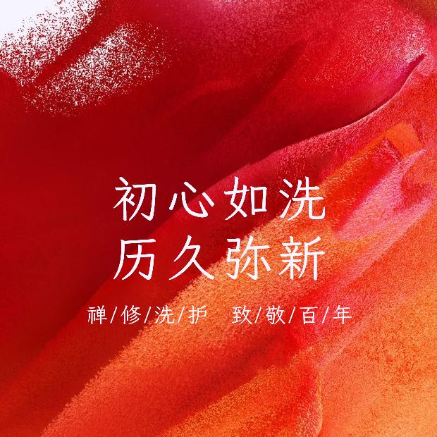 抬眼遇青苔