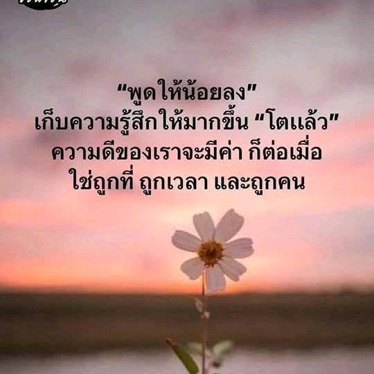 ชานตงไทอาน