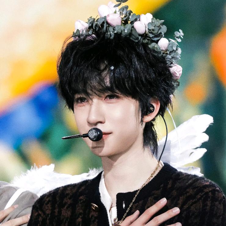 -睡不醒的草珊瑚-