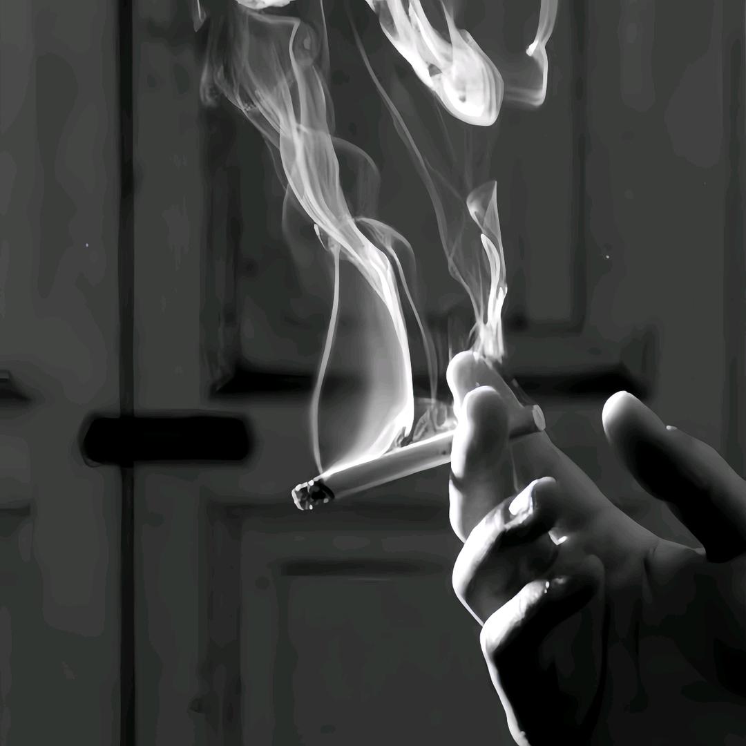 無←_←情
