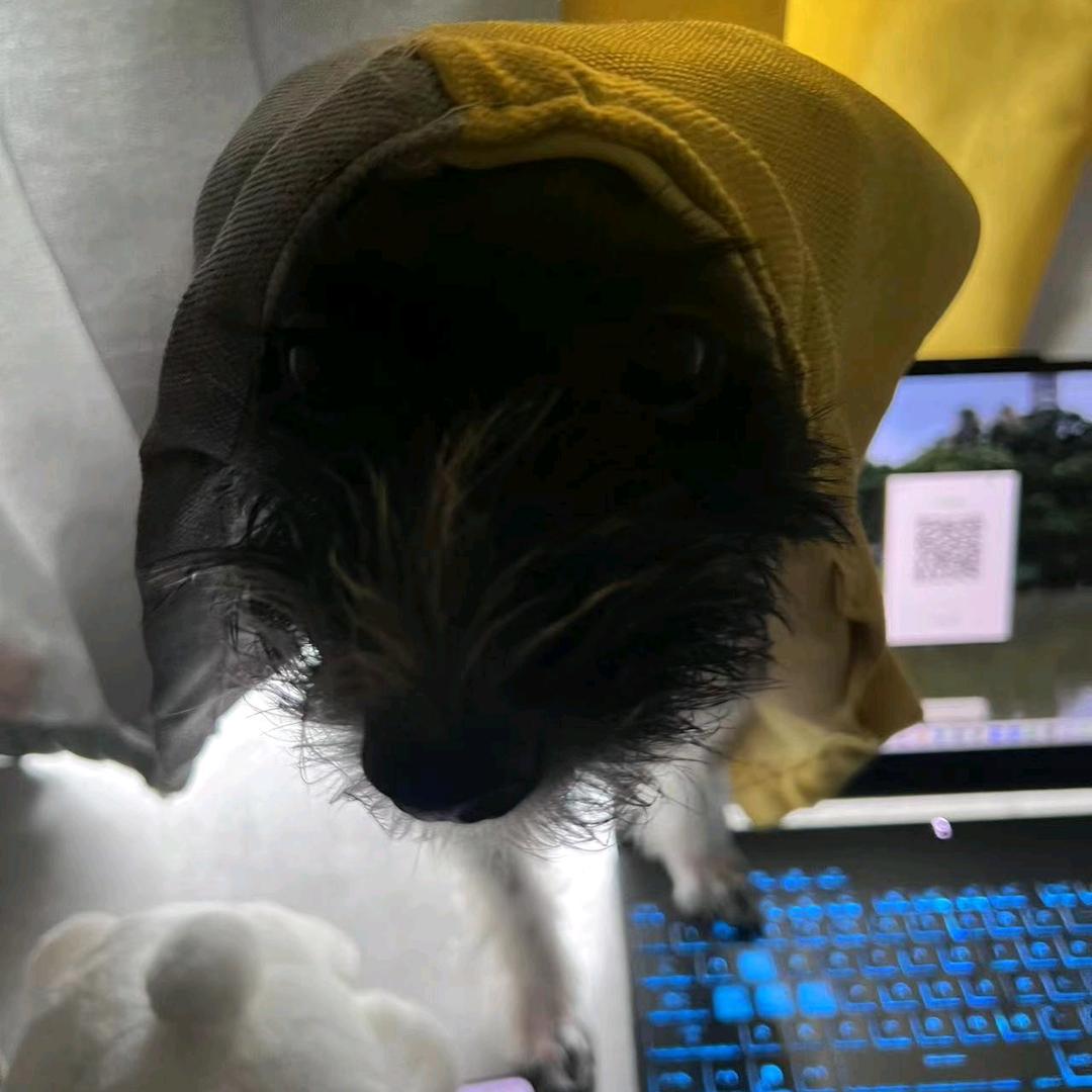 靓仔