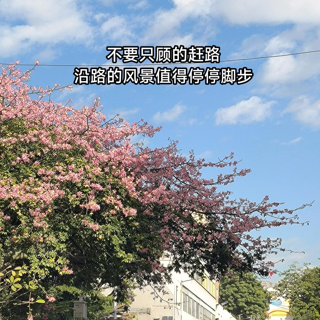 打工人的穿搭与路感