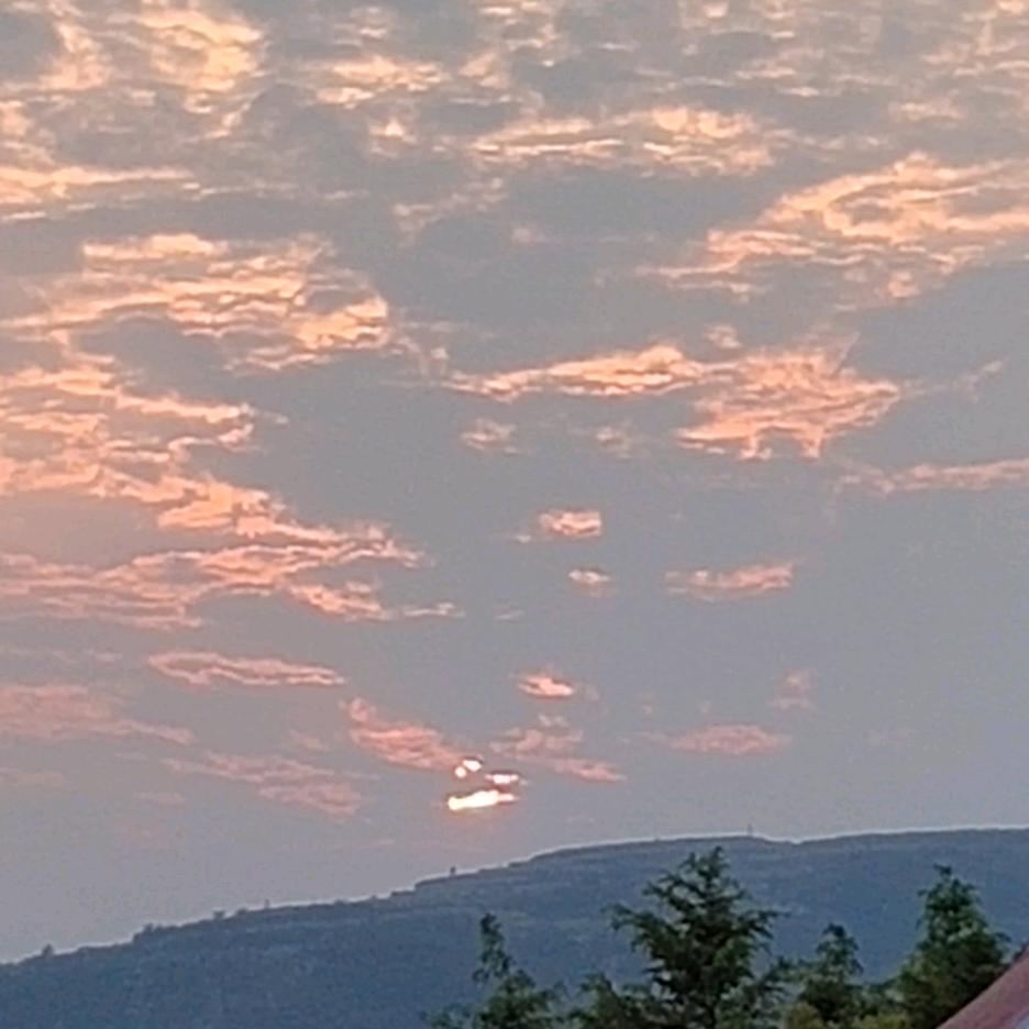 提瓦特球棒侠(原神代肝)