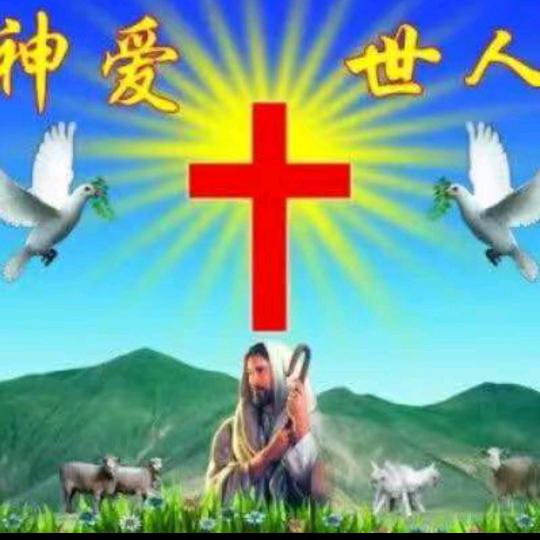 蒲公英