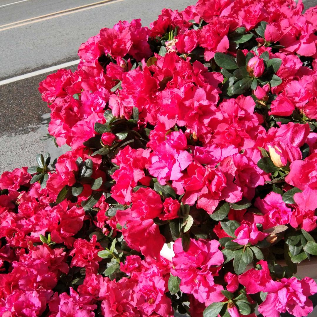 晓慧 ❤️⁰⁷¹⁸