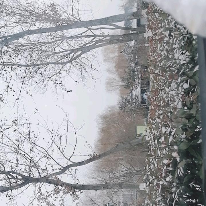 用户飞狼