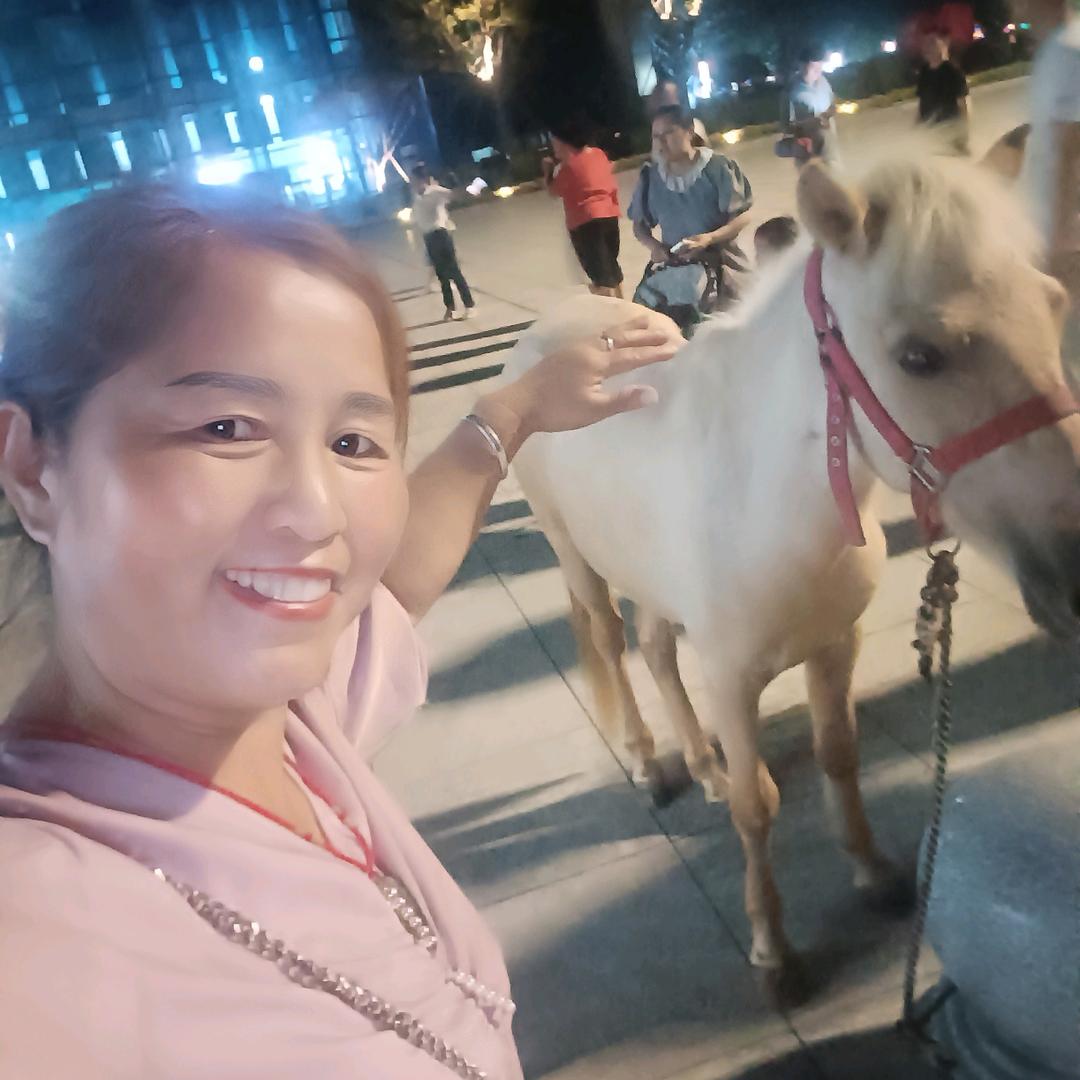 七秒钟的记忆。🍀