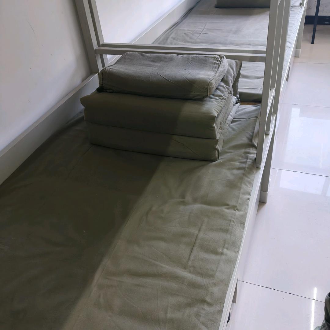 向风而行