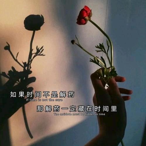 说了我爱你也不过如此