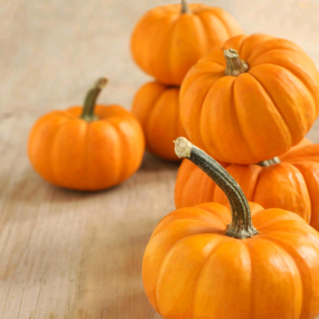 北屯市晟丰达农业（刘洋）