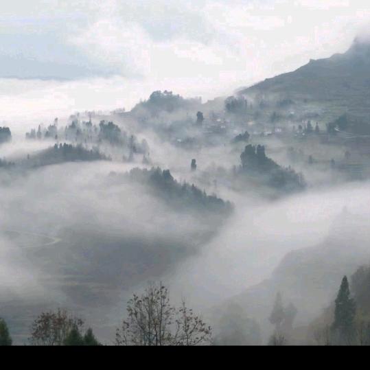 一马平川拒绝私聊
