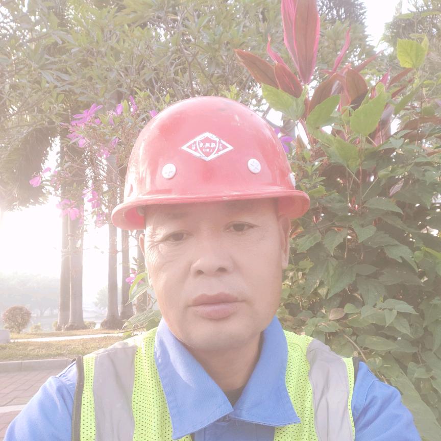 真善美