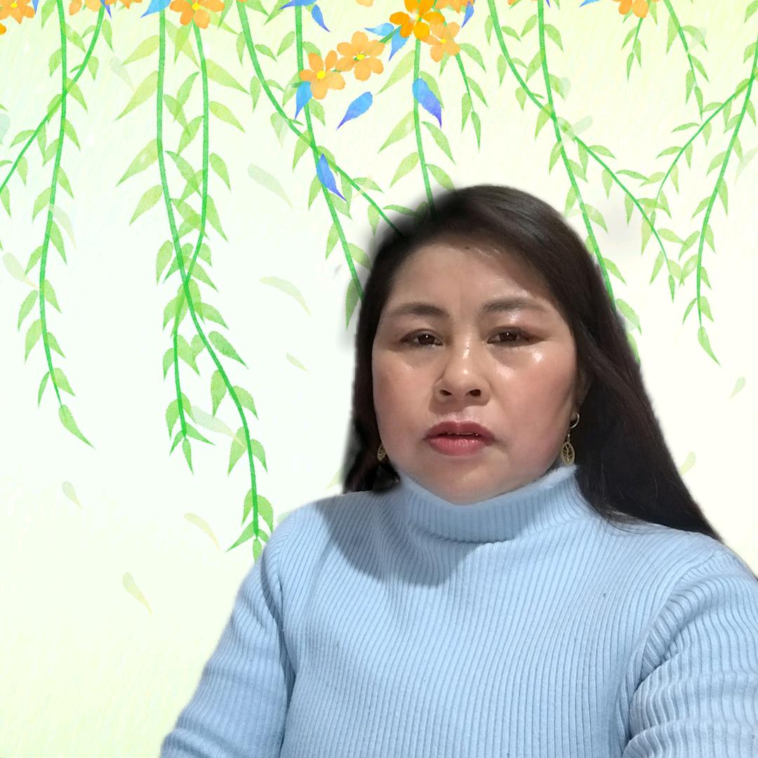 圆圆财