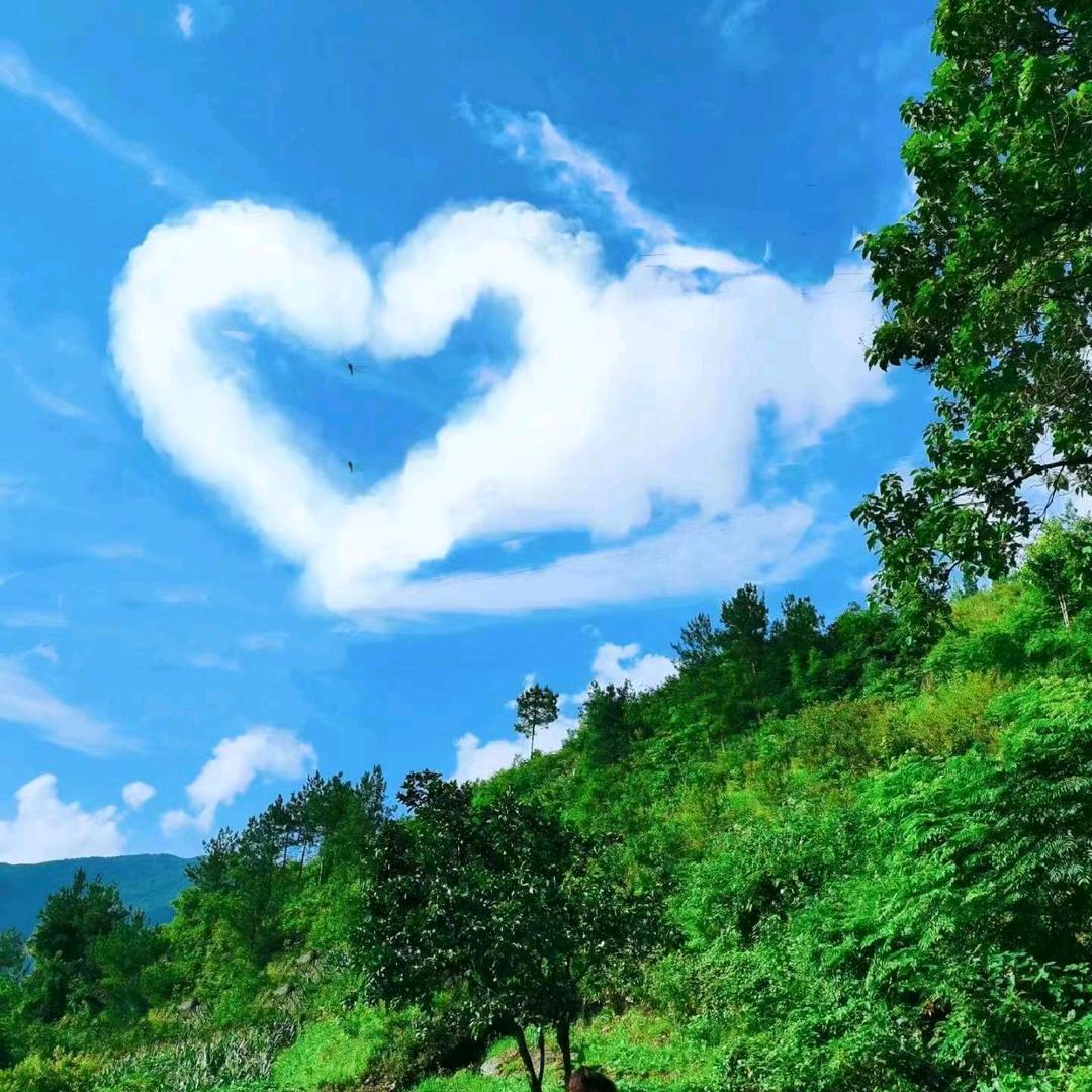 看透不说透❤ (ɔˆз(ˆ⌣ˆc)