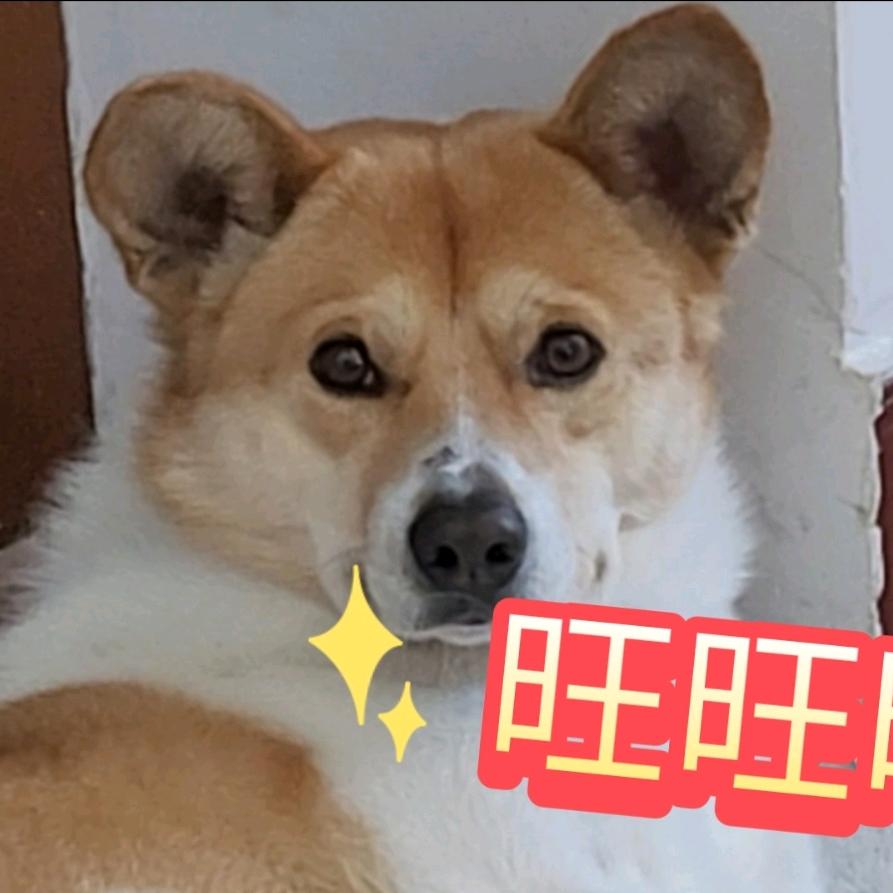 四五一十二（沙客）