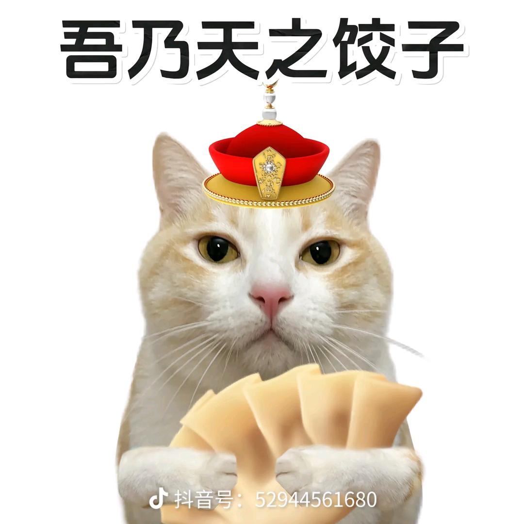 胖可丁