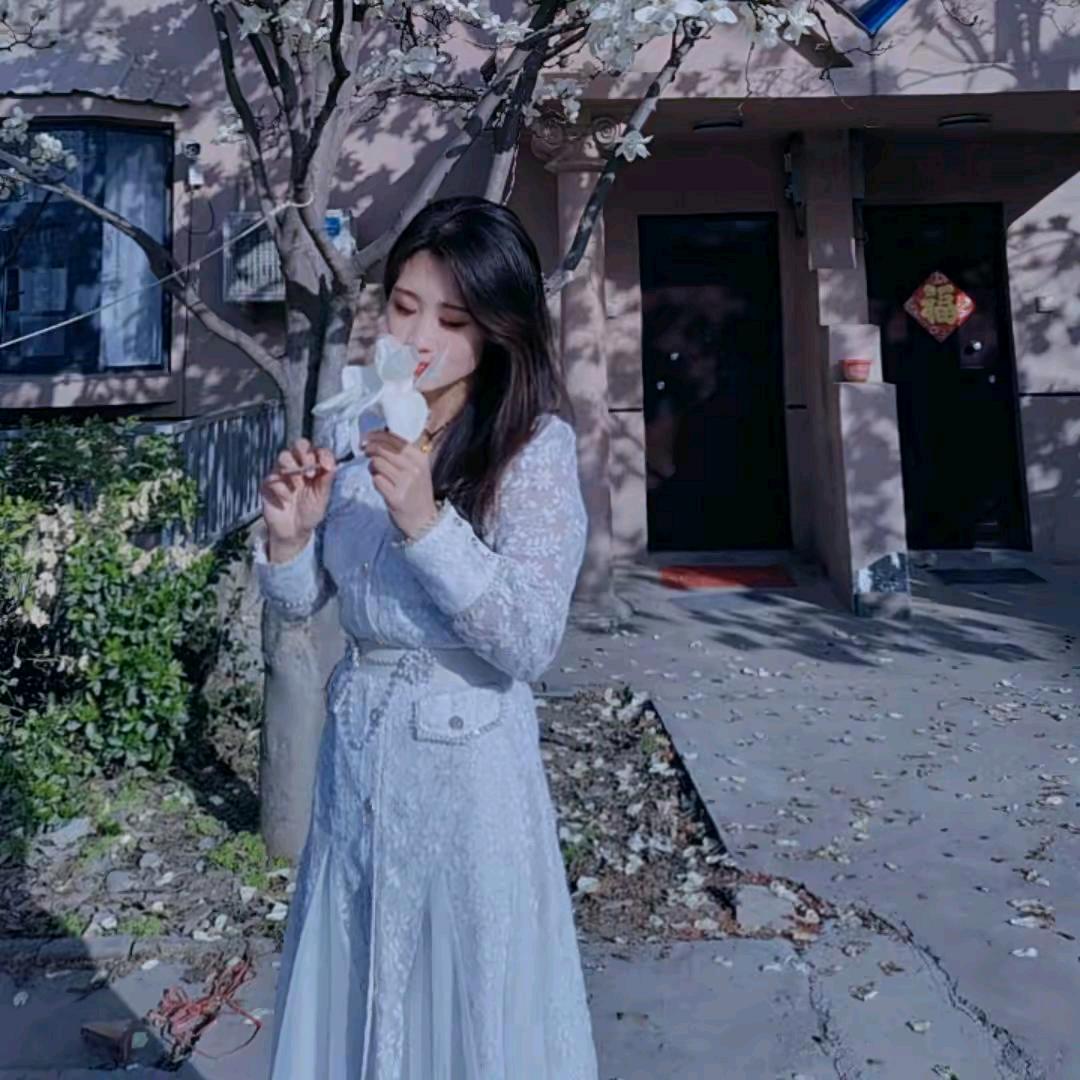 yang家姑娘