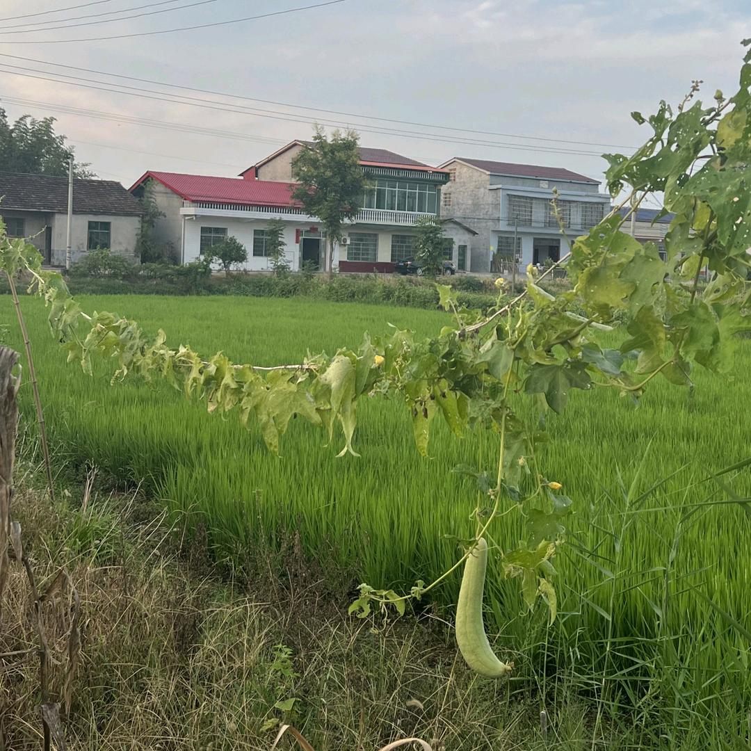 各行郭业。🇨🇳🇨🇳因为我懂你。?