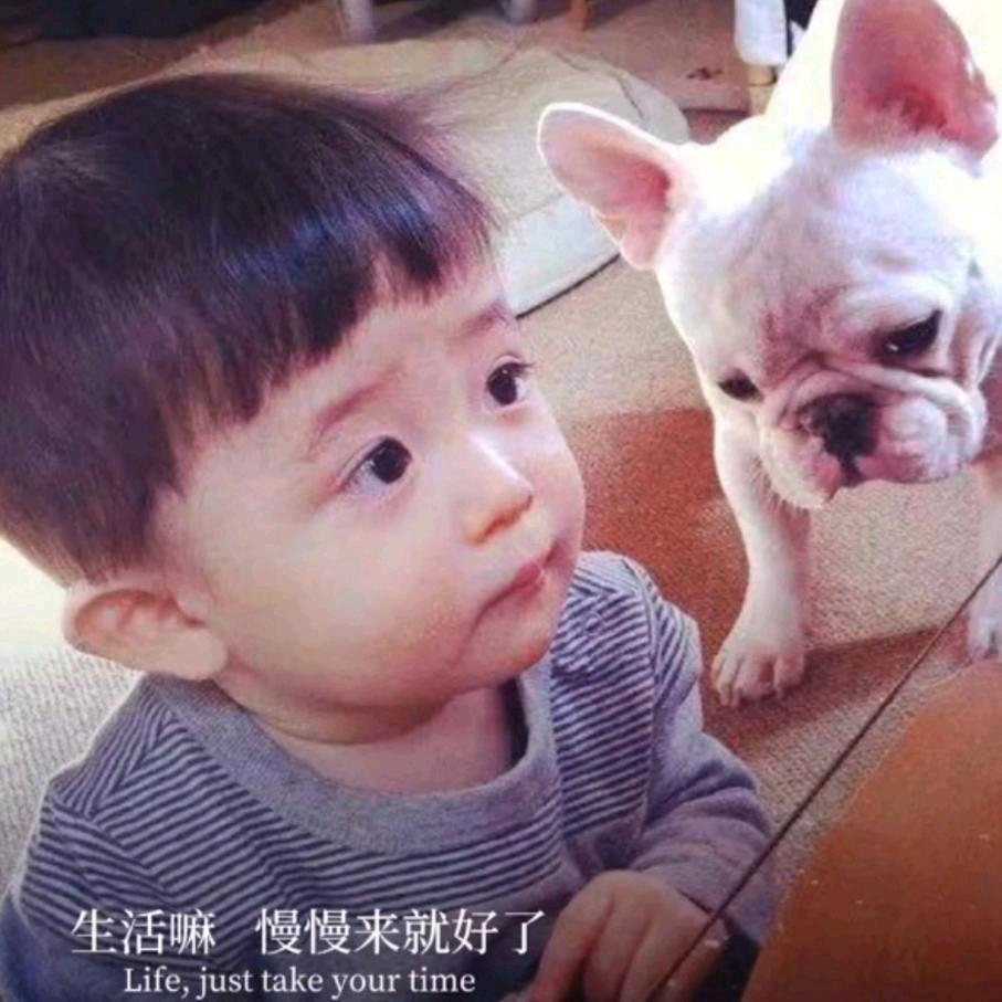 Li有个萌萌🇨🇳