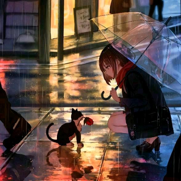 ╰媛☆宝╮