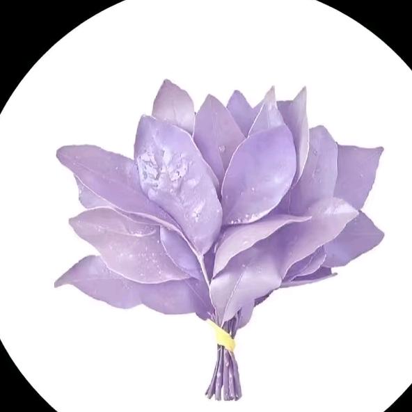 古希腊掌管财富的神♥（西安上船版）