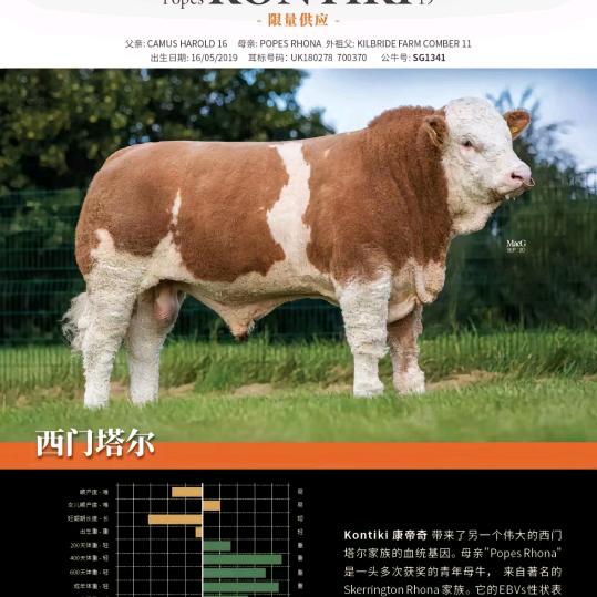 畜牧拉一把团队：杨保全