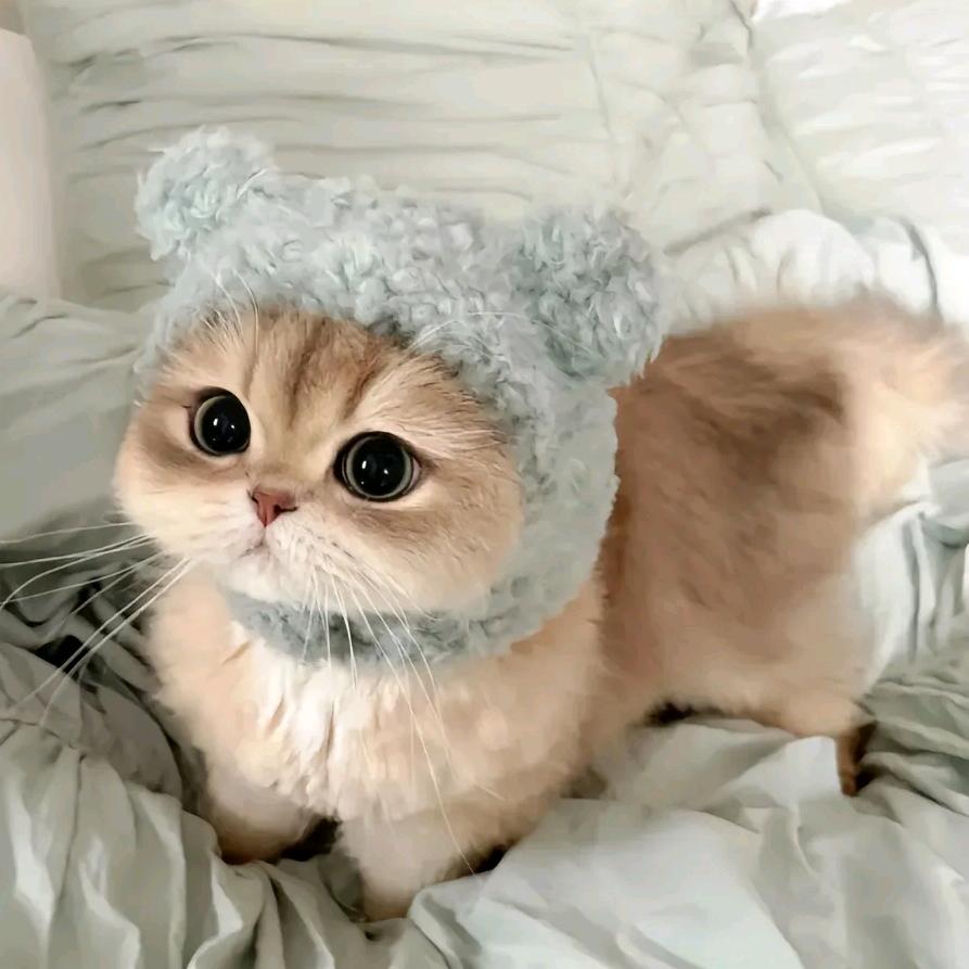 是cc啊～