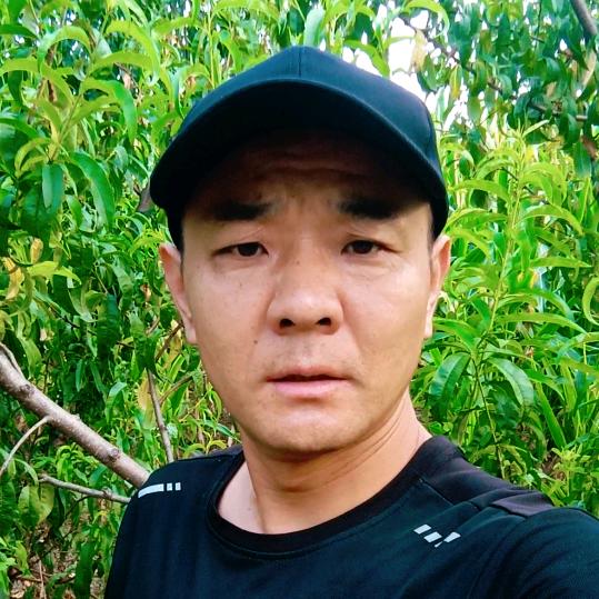农村老张