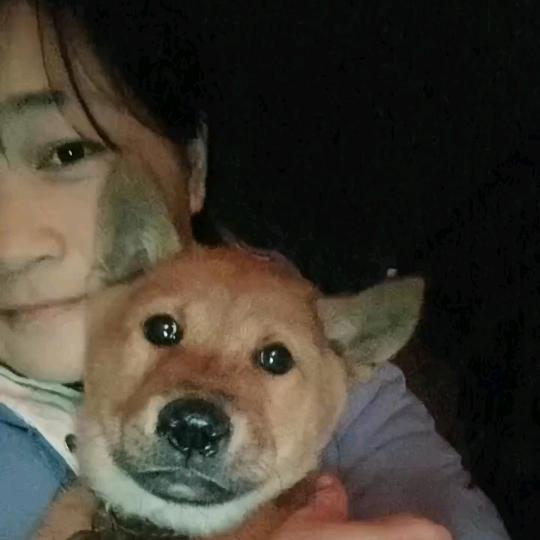 广西🌺小云