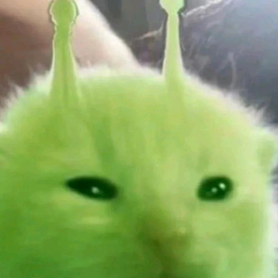 贾队长